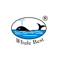 Whale Best 椭圆